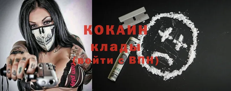 Cocaine 99%  маркетплейс какой сайт  Вилючинск 